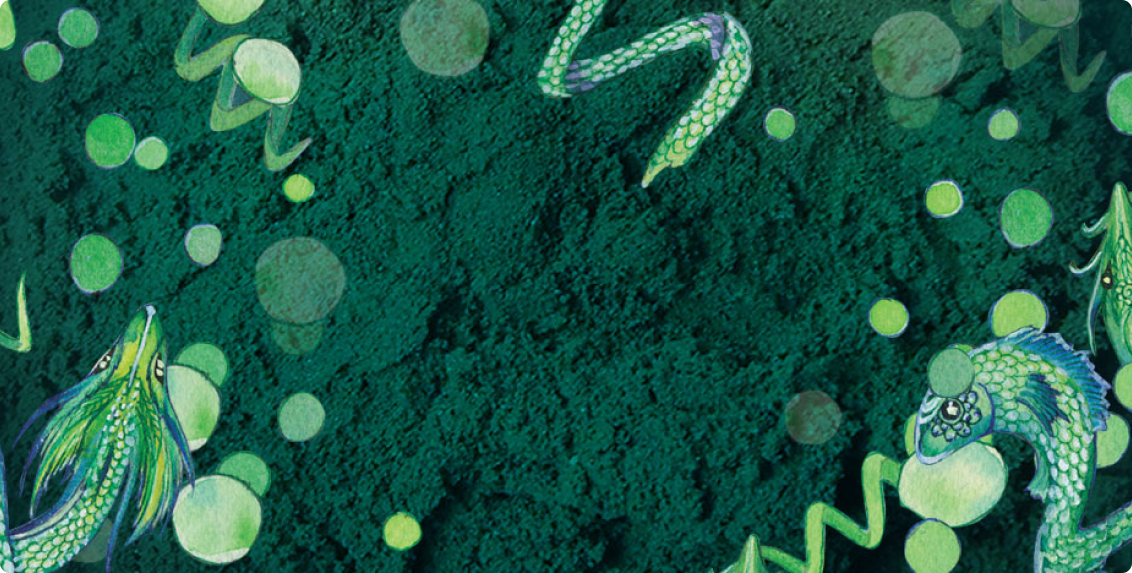 CHLORELLA VS. SPIRULINA COMPARISON
