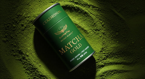 MATCHA GOLD