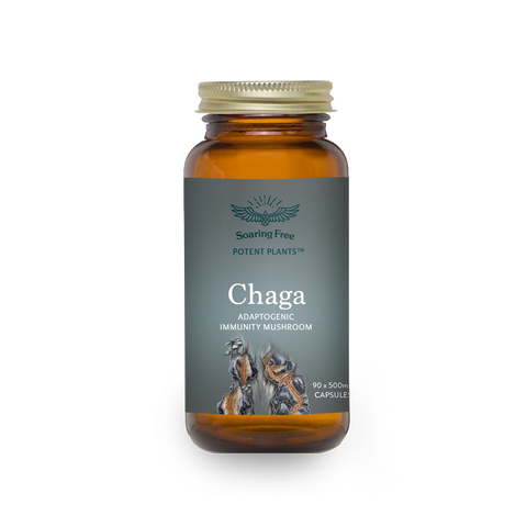 Organic Chaga (Powder & Capsules)