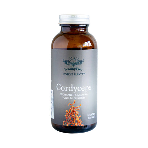 Organic Cordyceps (Powder & Capsules)