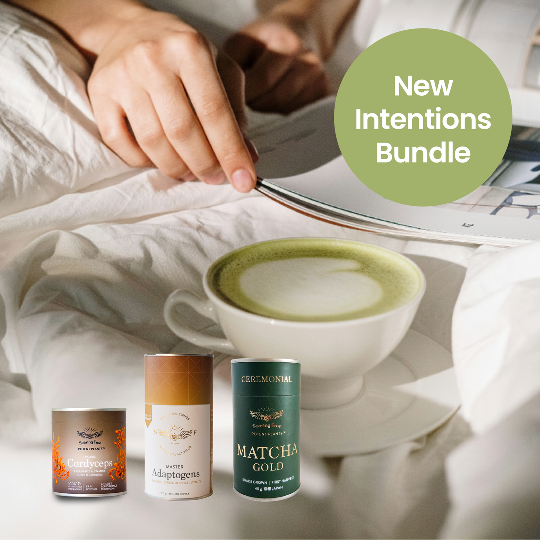 New Intentions Stack | Soaring Free