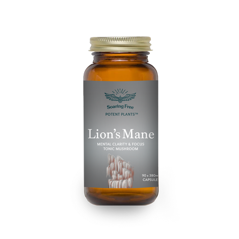Organic Lion's Mane (Powder & Capsules)