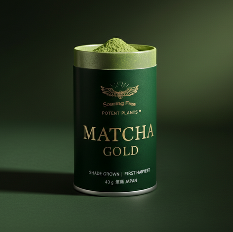 Ceremonial Matcha Gold (Organic)
