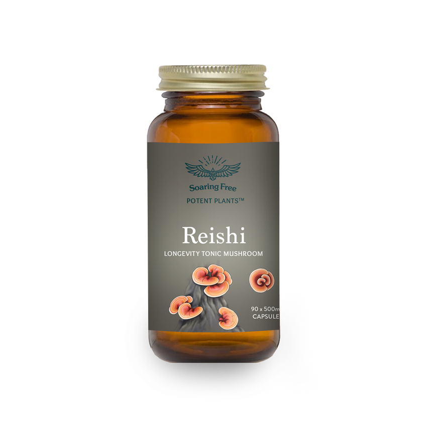 Organic Reish Mushroom • Buy Reishi Powder • Soaring Free Soaring Free 0083