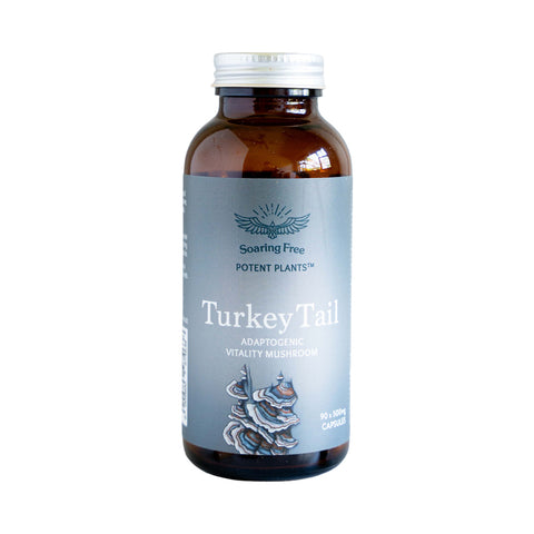 Organic Turkey Tail (Powder & Capsules)