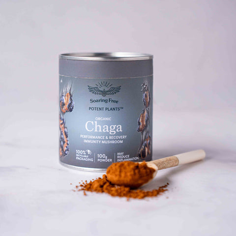 Organic Chaga Powder