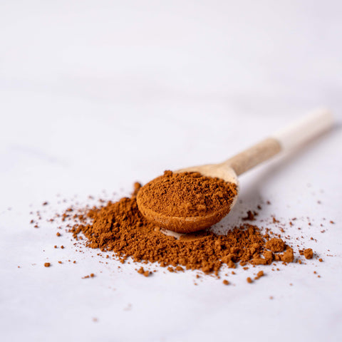 Organic Chaga Powder