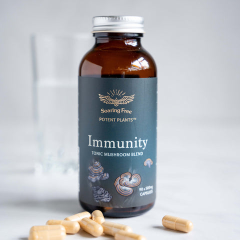 Immunity Mushroom Blend (Powder & Capsules)