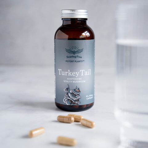 Organic Turkey Tail (Powder & Capsules)