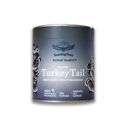 Organic Turkey Tail